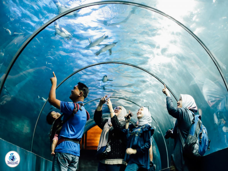 Activities in Langkawi You Can Do for All Seasons Underwater World Langkawi