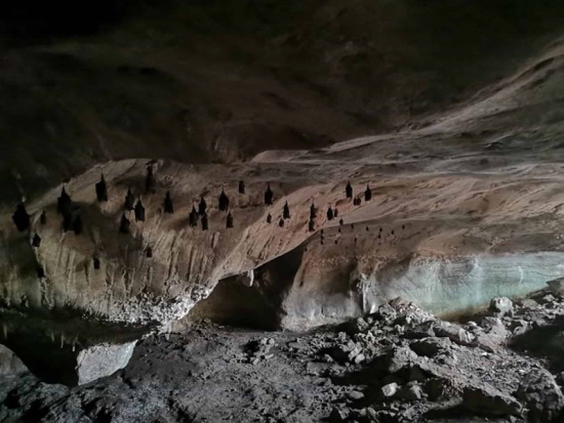 Visiting bat cave while on Langkawi Kilim Geoforest Mangrove boat tour
